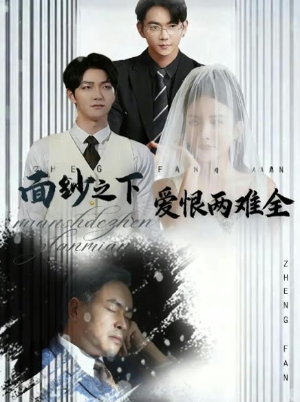 面纱之下:爱恨两难全封面