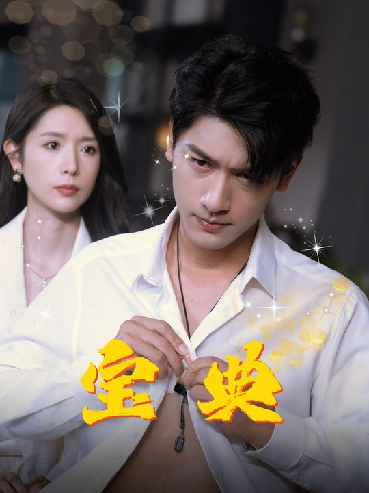 宝典封面