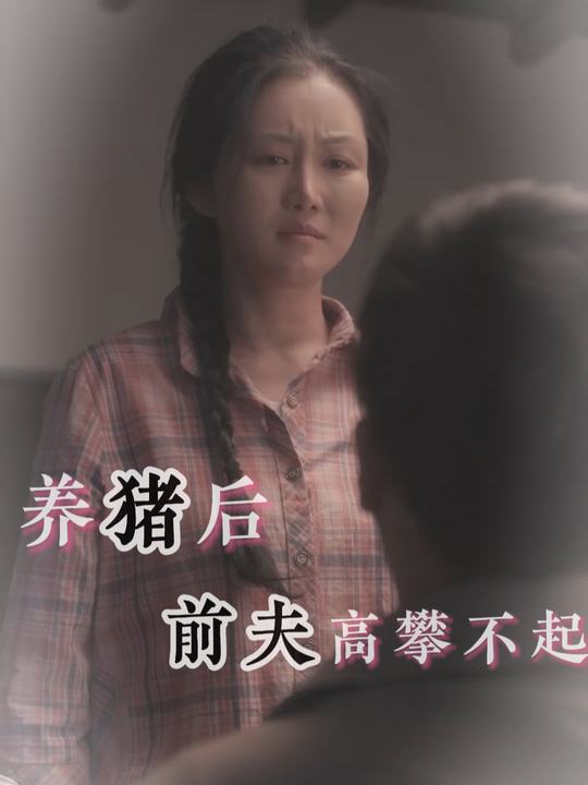 养猪后前夫高攀不起封面
