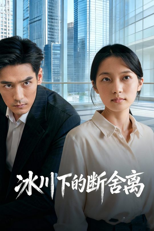 冰川下的断舍离封面