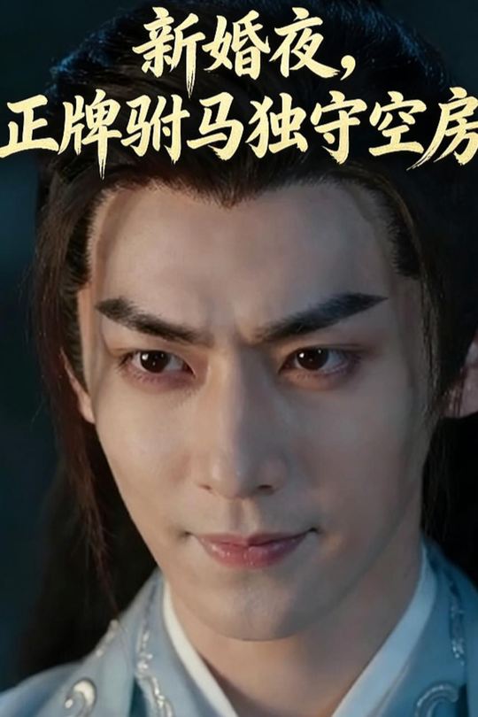 新婚夜,正牌驸马独守空房封面