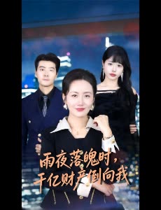 雨夜落魄时,千亿财产倒向我封面