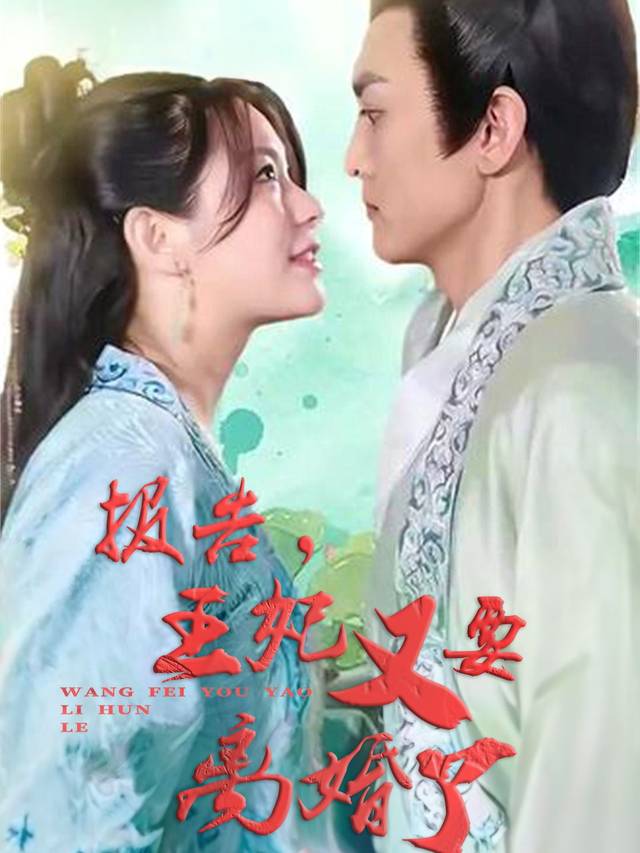 报告,王妃又要离婚了封面