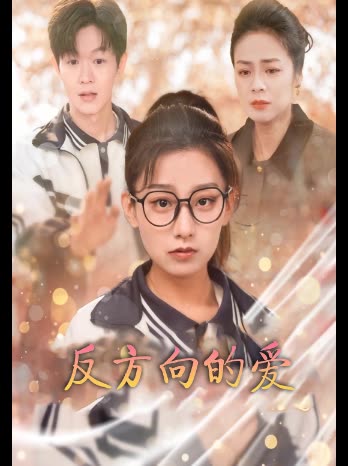 反方向的爱封面