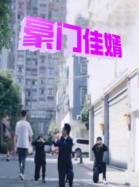 豪门佳婿封面