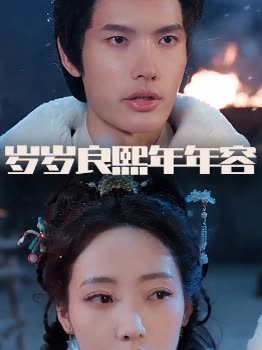 岁岁良熙年年容封面