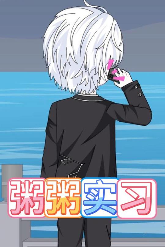 粥粥实习封面