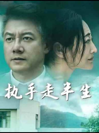 执手走半生封面