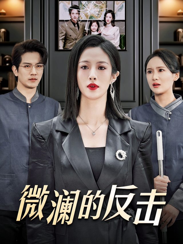 微澜的反击封面