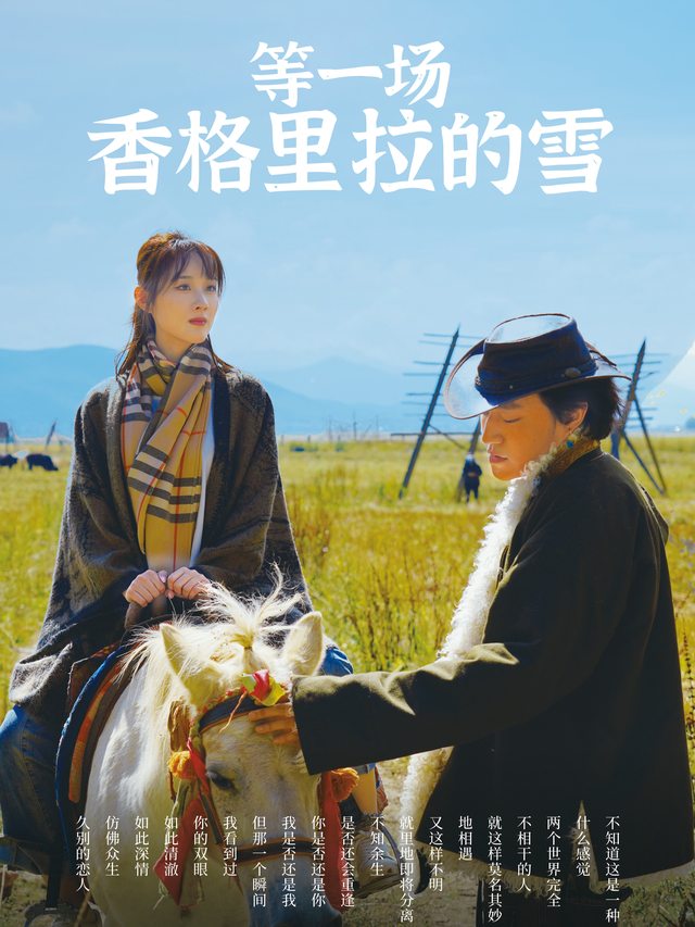 等一场香格里拉的雪封面