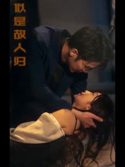 似是故人归封面