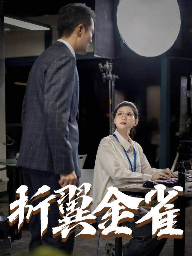 折翼金雀封面