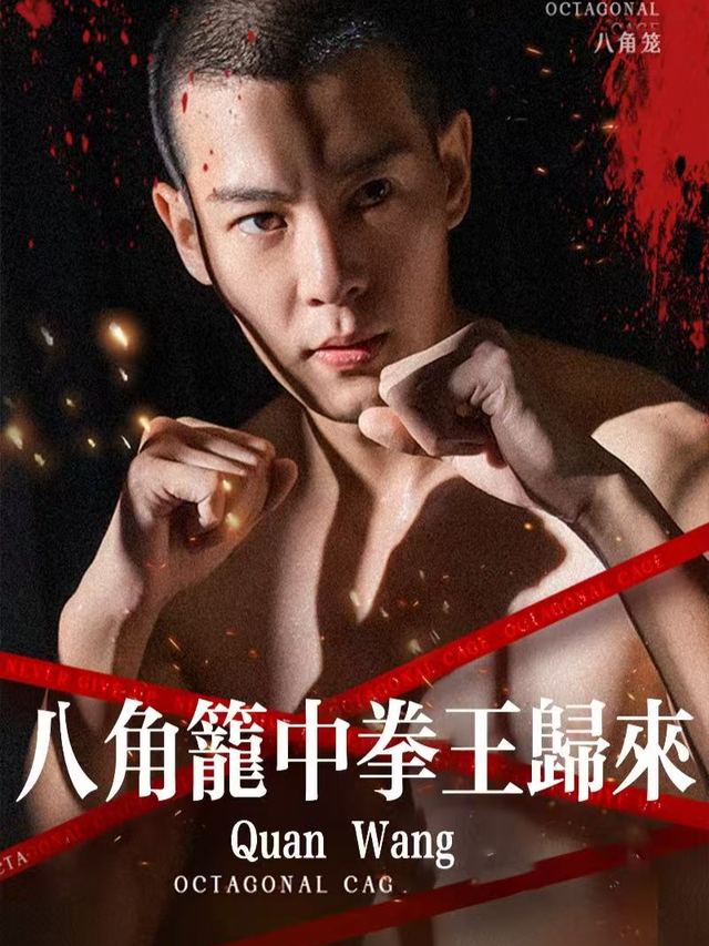 八角笼中拳王归来封面