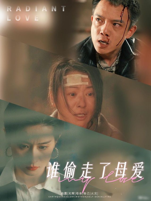 谁偷走了母爱封面