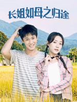 长姐如母之归途封面