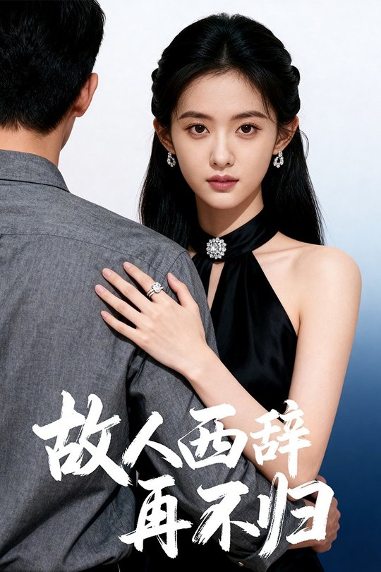 故人西辞再不归封面