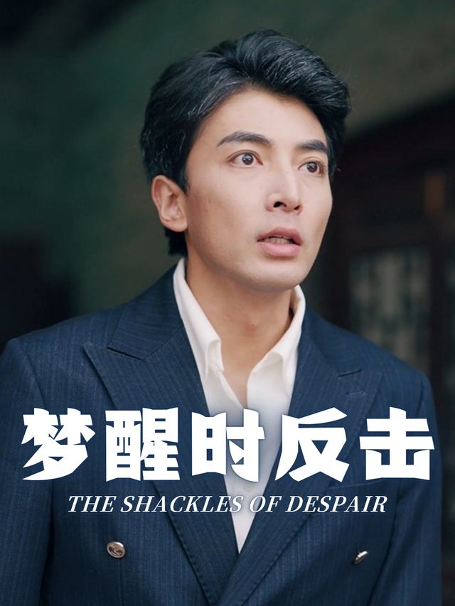 梦醒时反击封面