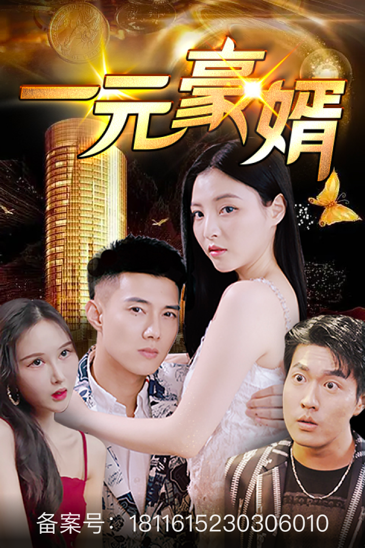 一元豪婿封面