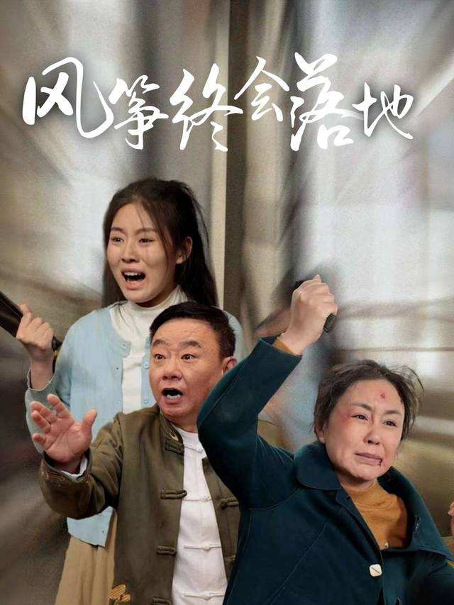 风筝终会落地封面