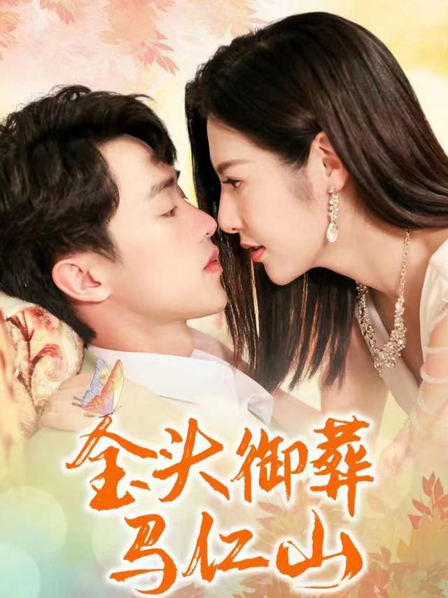 金头御葬封面