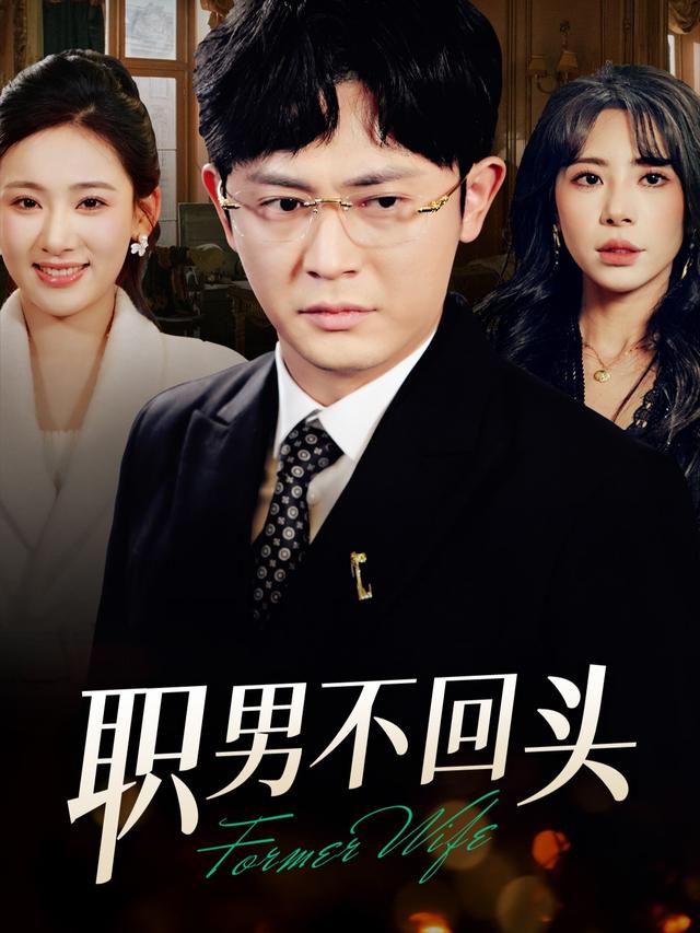 职男不回头封面