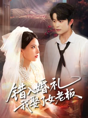 错入婚礼我娶了女老板封面