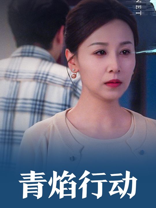青焰行动封面