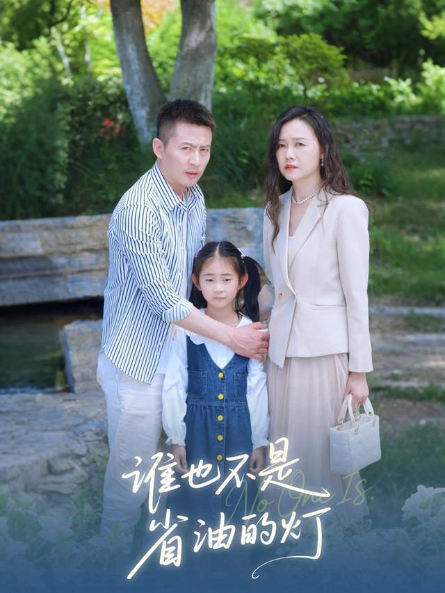 谁也不是省油的灯封面