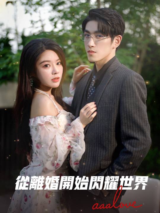 从离婚开始闪耀世界封面