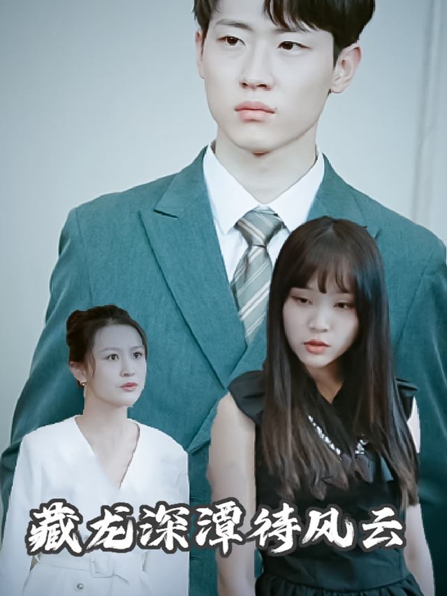 藏龙深潭待风云封面
