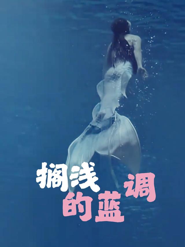 搁浅的蓝调封面