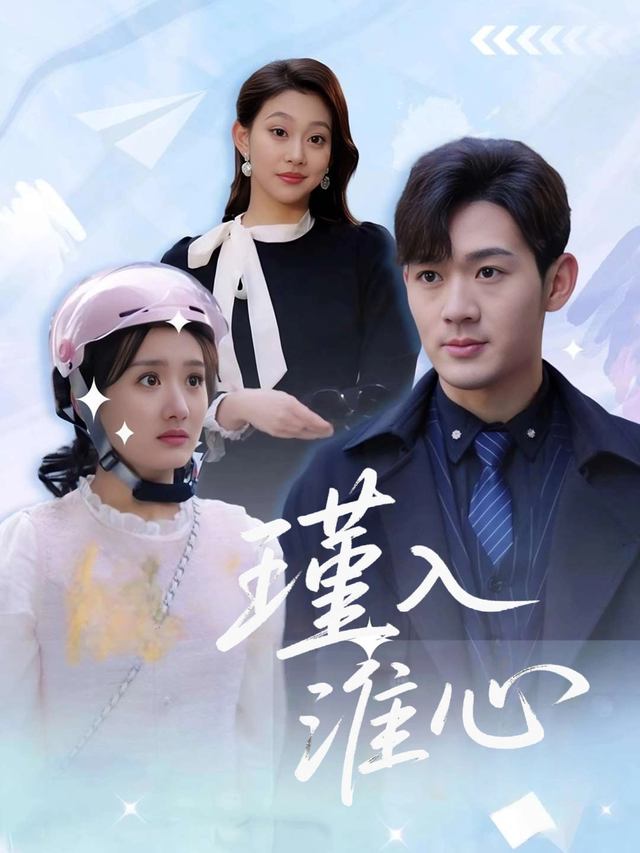 瑾入淮心封面