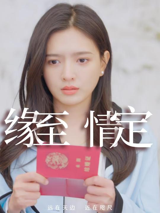 缘至情定封面