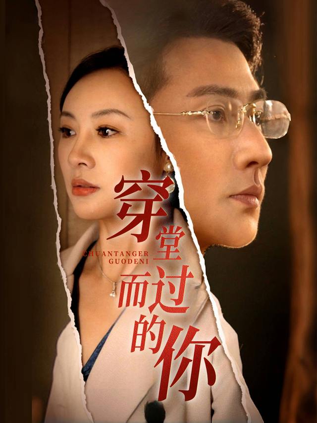 穿堂而过的你封面