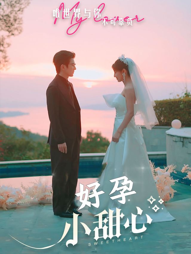 好孕小甜心封面