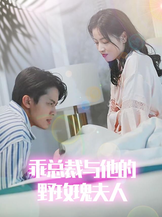 乖总裁与他的野玫瑰夫人封面