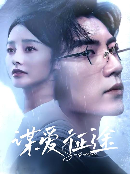 谋爱征途封面