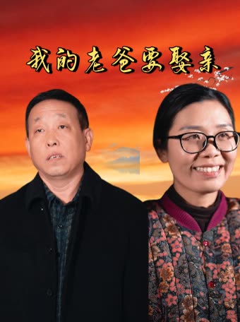 我的老爸要娶亲封面