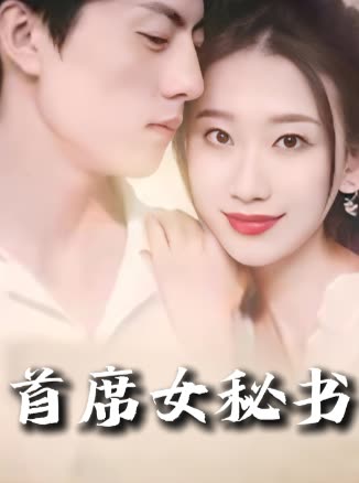 首席女秘书封面