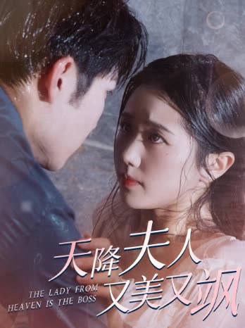 天降夫人又美又飒封面