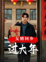 女婿回乡过大年封面