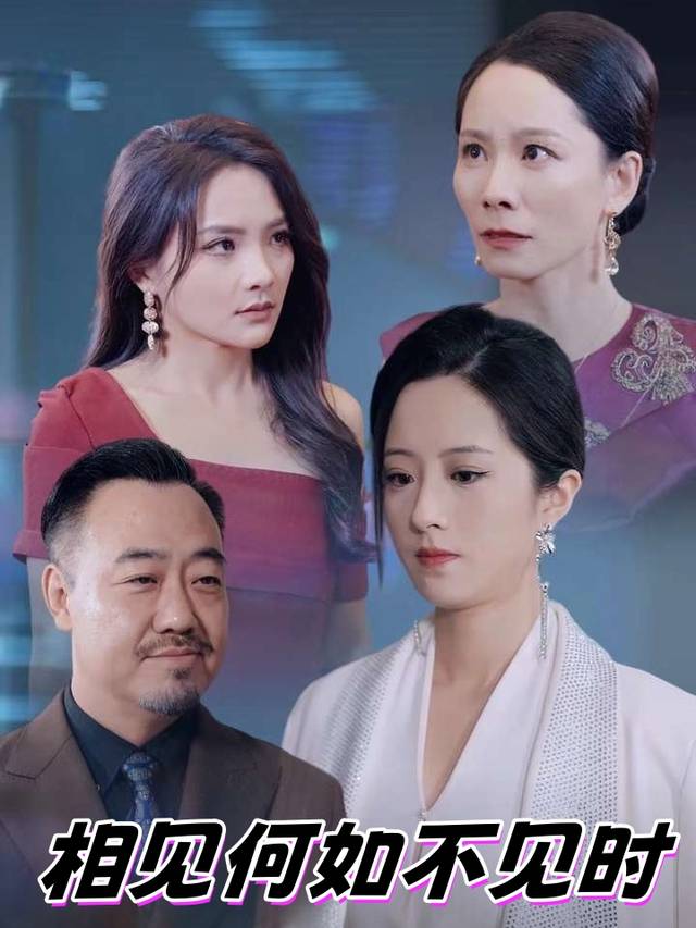 相见何如不见时封面