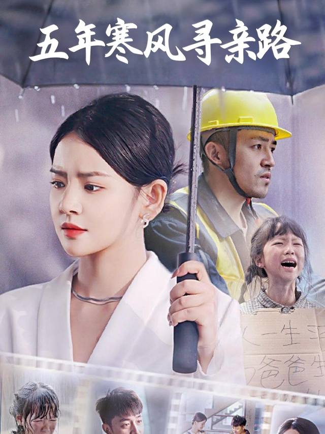 五年寒风寻亲路封面