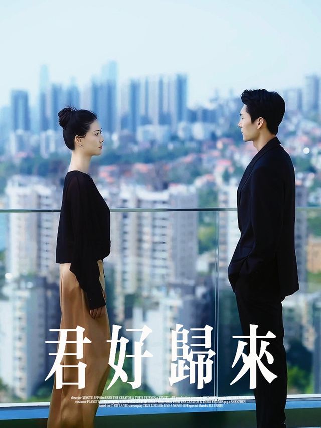 君好归来封面