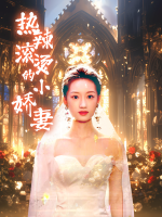 热辣滚烫的小娇妻封面