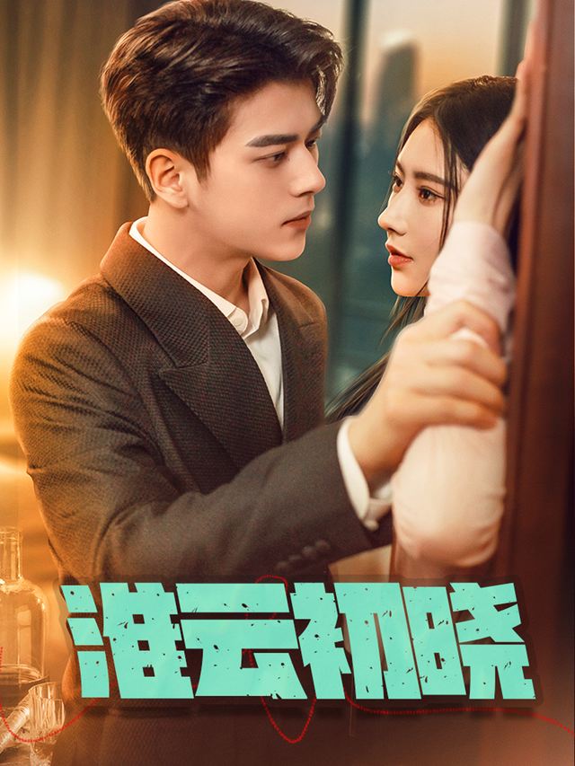 淮云初晓封面