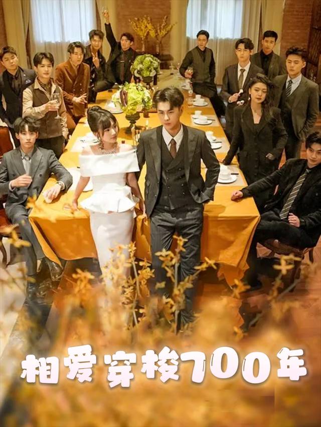 相爱穿梭700年封面