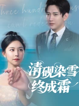清砚染雪终成霜封面