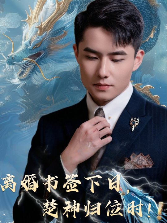 离婚书签下日,楚神归位时!封面