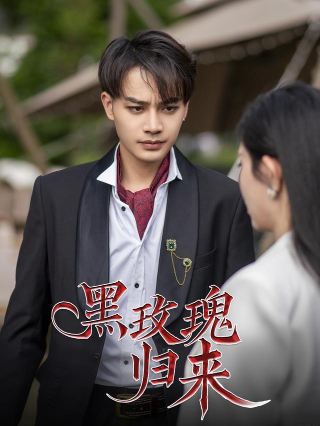 黑玫瑰归来封面